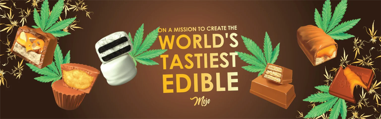 mojo chocolate edibles